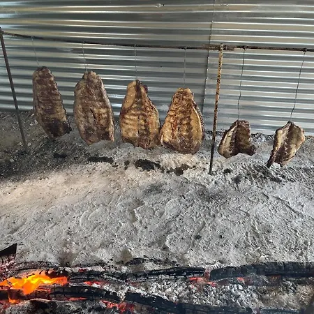 Agrogallo