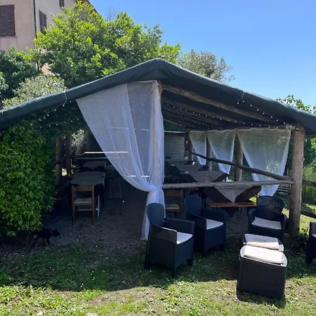 Agrogallo *